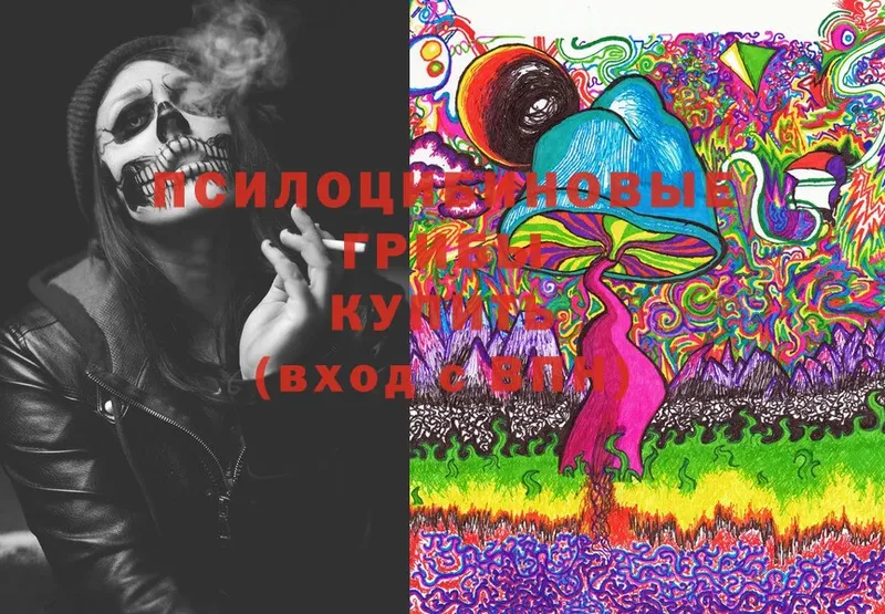 купить   Заозёрск  Галлюциногенные грибы Magic Shrooms 